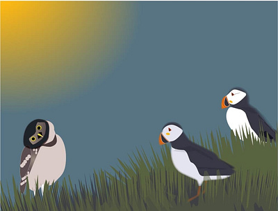 A Couple of Puffins and an Owl birds design graphic design illustration owls