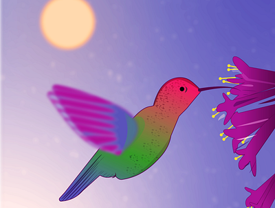 Hummingbird butterflies design graphic design illu illustration
