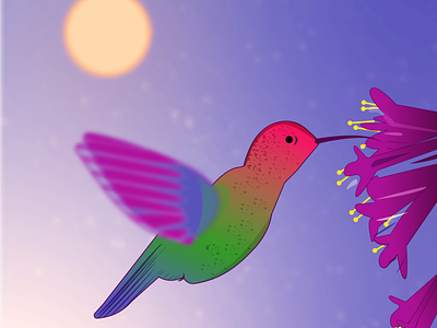 Hummingbird