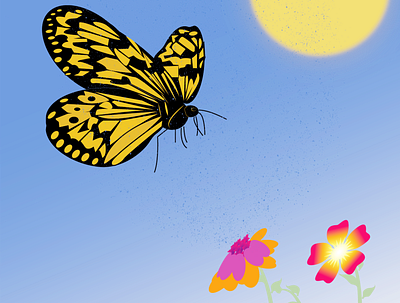 Butterfly design graphic design illustration