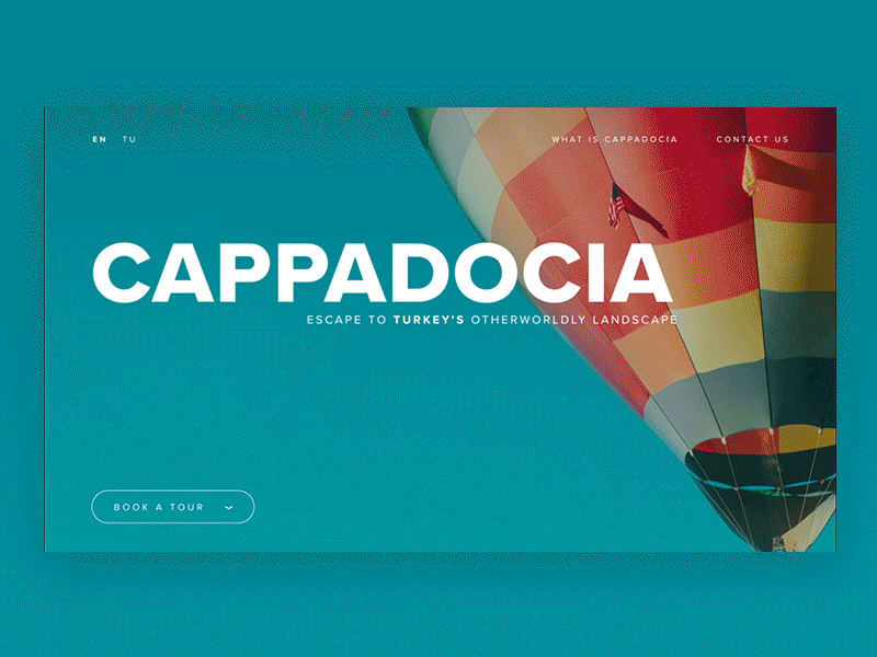 Cappadocia UI design digital landing page motion graphics ui ux vector web website