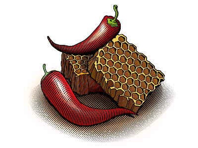 Pepper & Honey. Polugar engraving food illustration honey illustration label packaging pepper product spirits vadim briksin