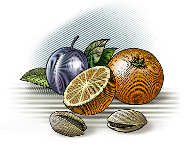 Food illustration engraving food illustration fruit illustration juice label orance plum product vadim briksin
