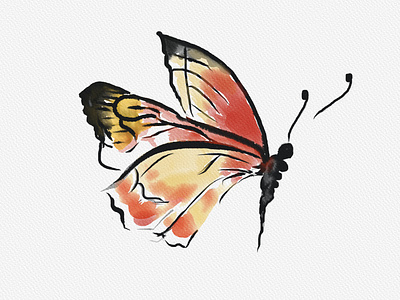 Watercolor butterfly design graphic design illustration logo vector
