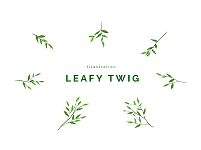 Illustration Leafy Twig illustration isolated
