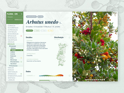 Figma test botany figma flora green medronho plant portugal