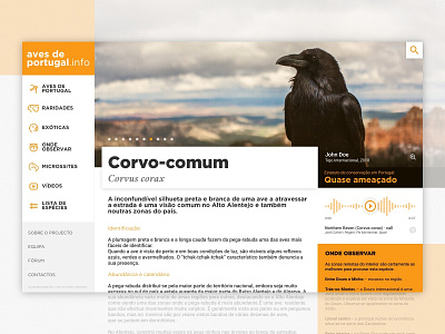 Aves de Portugal - Exercise birds invision studio portugal raven yellow