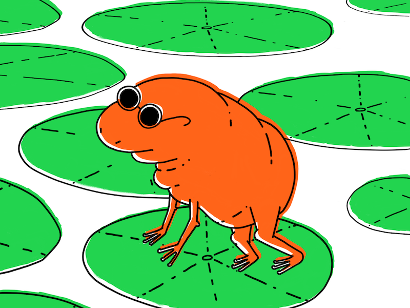 Blind Toad By Val Geyvandov On Dribbble