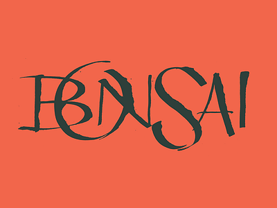 Bonsai calligraphy coke pen lettering letters practice ruling pen type typography