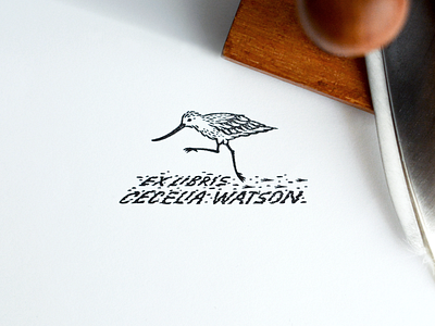 Ex libris Cecelia Watson. bookplate graphic design illustration lettering type typography