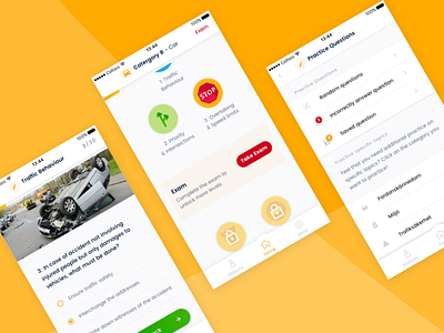 Test Screens - Driving Exam App app design driving exam ios learning school simple ui ui design ux ux design