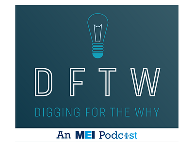 Digging for the Why podcast logo branding design graphic design illustration logo typography vector