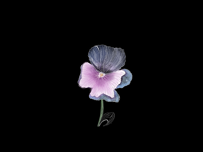 Flower design illustration