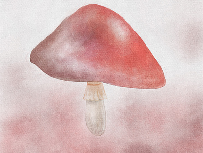Mushroom digital art forest illustration nature watercolor