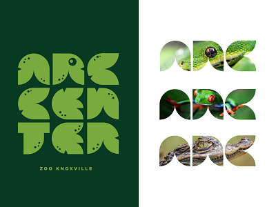ARC Branding amphibian brand identity branding design frog illustration illustrator lettering lizard logo reptile type typography vector zoo