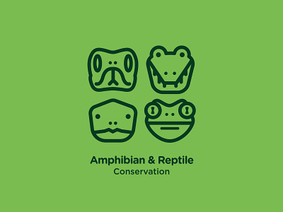 Amphibian and Reptile Branding brand identity branding design illustration logo vector