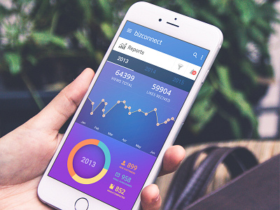 Bizconnect app graphs mobile reports travel