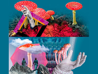 Sky Tantrums artwork collage design esoteric funghi mountains mushroom mystical progressive psychedelic rock spiritual