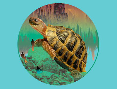 Giant friend artwork collage giant nature psychedelic spiritual turtle world