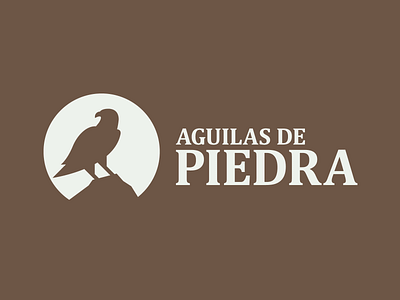 Aguila de piedra Branding visual identity corporate brand design