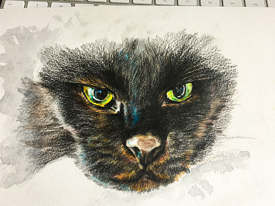 colored pencil