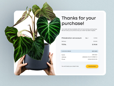 Email Receipt | Daily UI 017 017 daily ui challange dailyui email app email design email receipt figma order payment purchase receipt web design