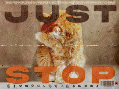 Cat disappointed at todays social interactions. Obviously. cat design graphic design poster print social media texture