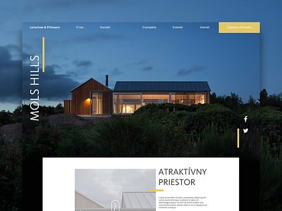 Mols Hills architecture clean concept interface landing page minimal minimalistic site ui ux visual design web