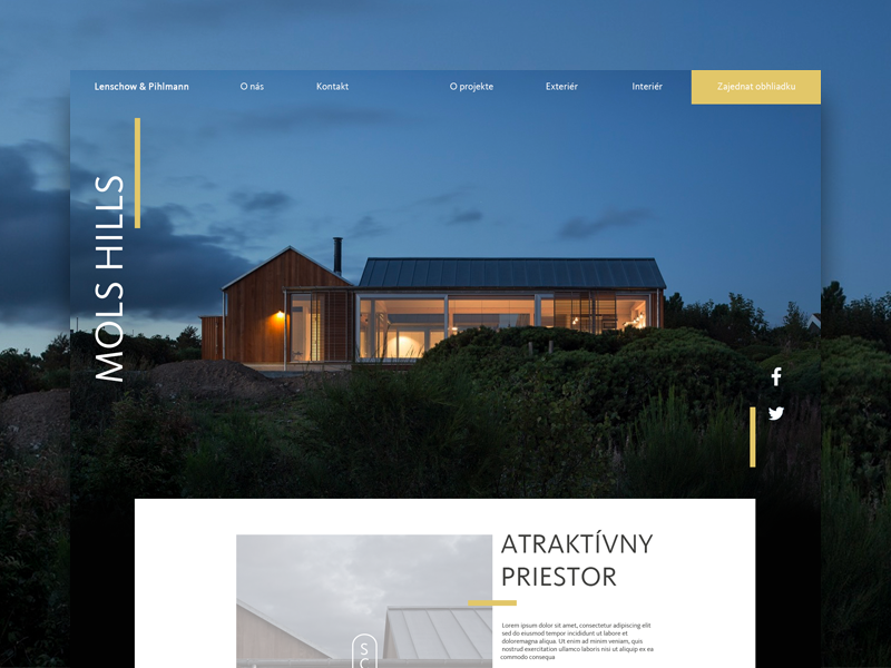Mols Hills visual design landing page site clean interface minimal minimalistic concept ux ui web architecture