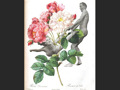 Collage - Series: Hombres Planta analoguecollage collage dancing flowers handmade humans papercut retro vintage
