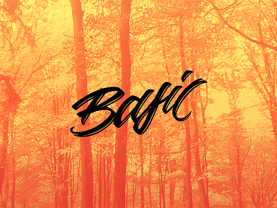 'Basic' I basic brush pen font forest illustration illustrator lettering photo photography type typography vector