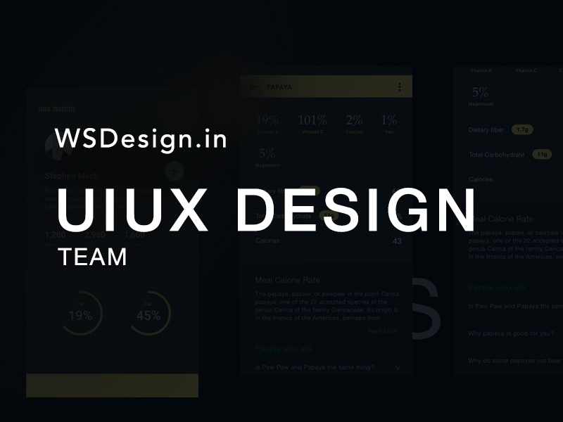 Wsdesignuiux designteam