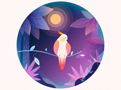 (4/100) Weekly vector challenge #01: Bird bird cockatiel illustraion moon night