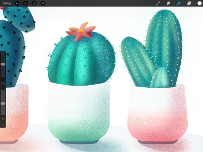 Cactus detail cactus illustration ipadpro procreate