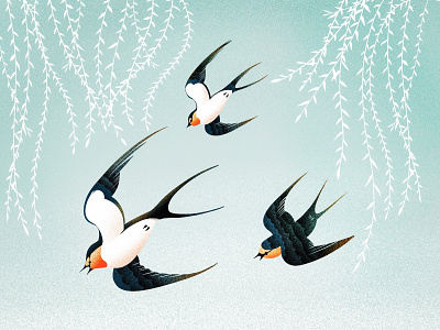 (73/100) Swallow & willows bird birds designchallenge illustration swallow willow willows