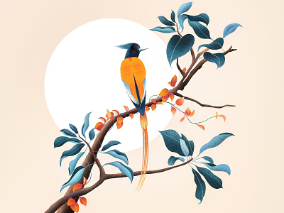 (75/100) Tree & bird bird designchallenge illustration moon tree