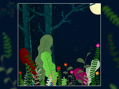 night forest