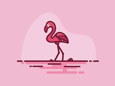 Flamingo bird flamingo pink sunset