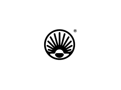 The big bang branding brandmark classic logo clean design identity logo logotype mark minimal vector