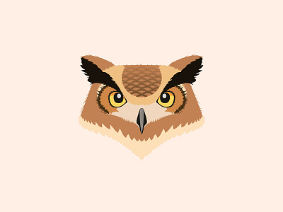 Owl illustration owls ps