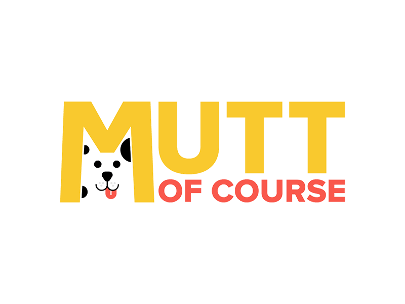 Mutt Of Course 2d art character design flat gif graphic identity illustration logo minimal typography vector