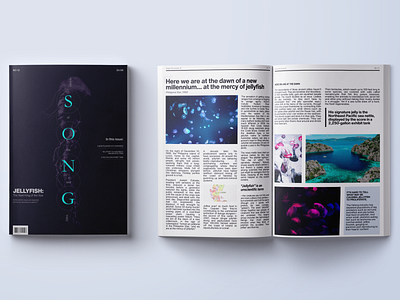 Song of the Sea Magazine Layout design figma graphic design photoshop poster poster design type