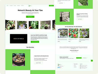 Website Design branding design plant typography ui website