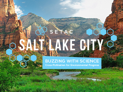 SETAC Salt Lake Teaser bee design hex layout salt lake city typography