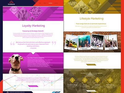 TrendScend abstract bold colour responsive design sections vibrant web design website