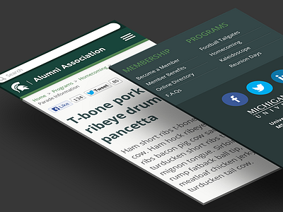 MSUAA - Mobile perspective mockup alumni association mobile msu perspective mockup