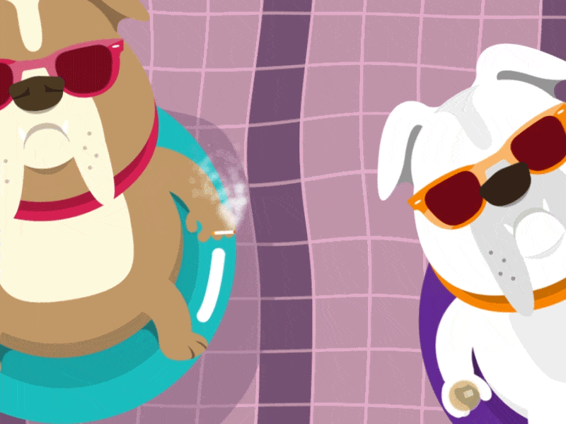 Doggy Style! after effects animated gif character dog gif loop pool summer vector