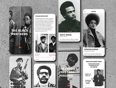 Black Panther Party App color design mobile design typography ui