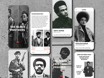 Black Panther Party App