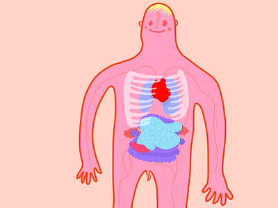 The human body anatomy body drawing human illustration